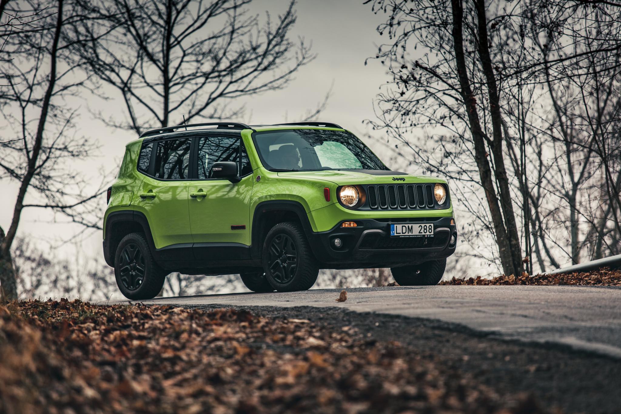 77144085_2457954211114689_7180623812067590144_o