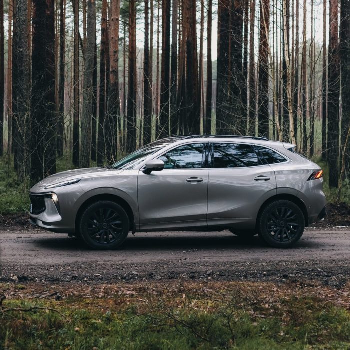 Dongfeng-Forthing-T5-EVO3 Sportiškas SUV